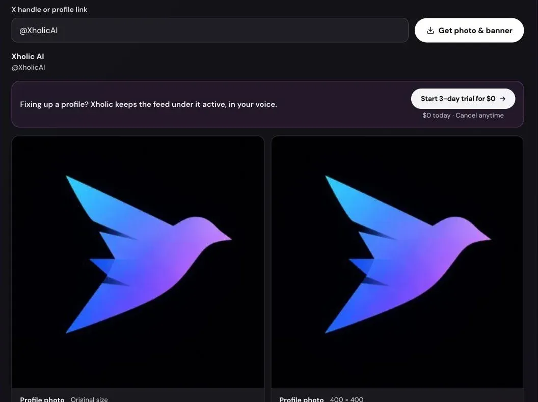 The Twitter Profile Picture Downloader result for @XholicAI: the account name, the offer line, and the profile photo in original size and 400 × 400.