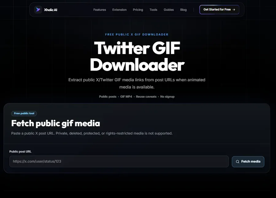 Xholic AI Twitter GIF Downloader interface for fetching public GIF media from a post URL.