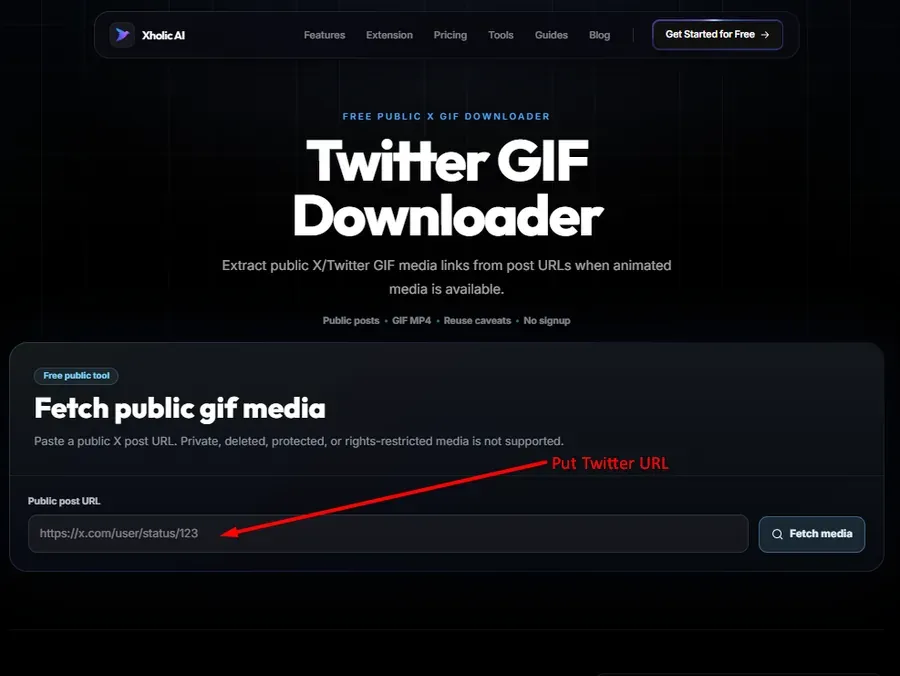 Twitter GIF Downloader input field showing where to paste a public Twitter post URL.